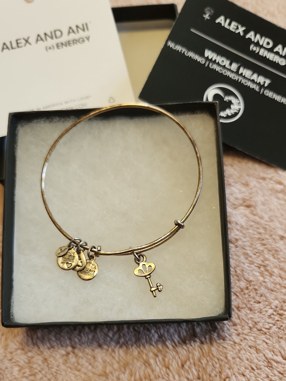 Alex and Ani Silver Key Charm Bangle with Signature Discs
